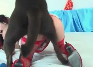 Tender pervert gets banged by a hound
