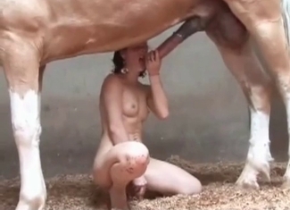 Dirty stallion loves fucking perverts hard