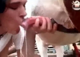 Watch a babe eating a beast's cum