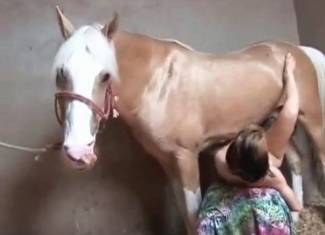 Wild stallion is jizzing extremely massively