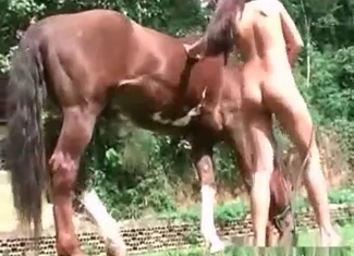 Active stallion is fucking a chick
